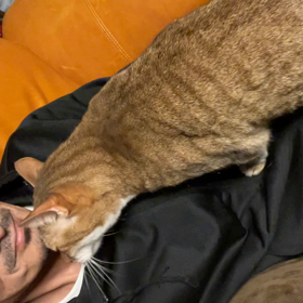 何があった⁉️の画像