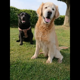 Google動画！？の画像