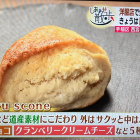 テレビ映えの画像