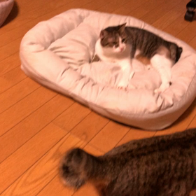 波瀾万丈な1日…孫、娘、守り。の画像