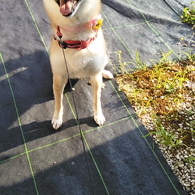 ジェット水でビショビショの画像