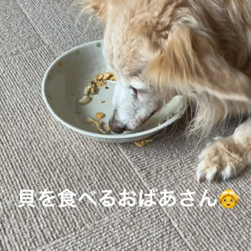 緑イ貝を食べるお婆さんの画像