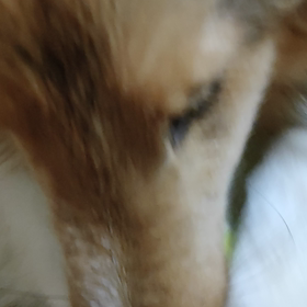 遊んでくれないと、、の画像