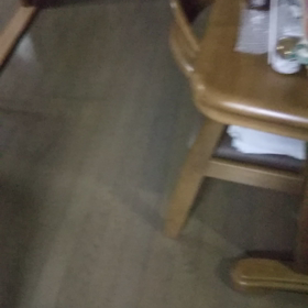 今日のはなちゃん230、モモちゃん186の画像