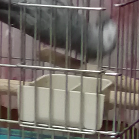 またまたスマホトラブル！？(￣▽￣;)の画像