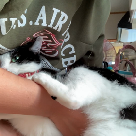 党首お怒りですの画像