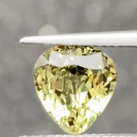 マリガーネット見付けた!!の画像