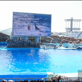 名古屋港水族館に行きました！（動画）の画像