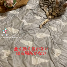 メンテナンスの画像
