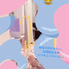 保湿うさぎの画像