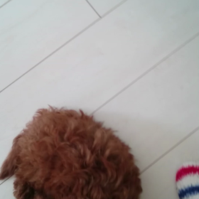 決定ー(^^)/の画像