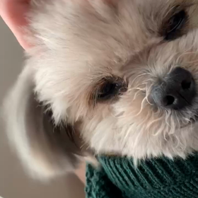 昔の動画の画像