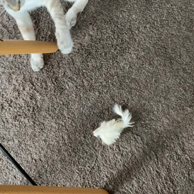 タワーのネズミさんが…の画像