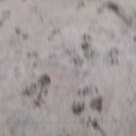 7/3練習動画⚽の画像