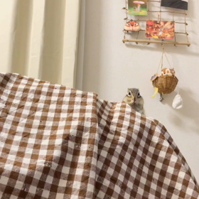 カメラ目線♪の画像