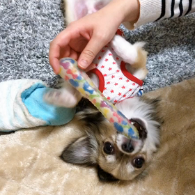 ソラくん動画の画像