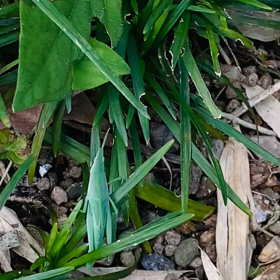 介護記録１５４（老体に鞭を打つ）の画像