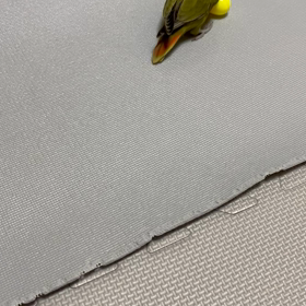 とうとうやって来ました。☺️の画像