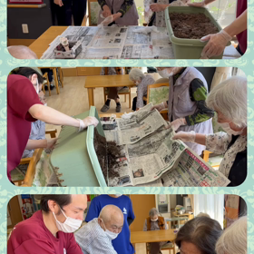 ベランダ菜園2の画像