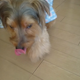 見た目は若くてもの画像