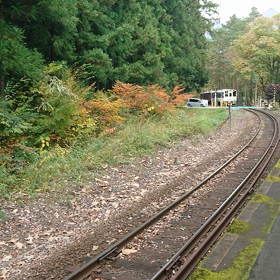 お座トロ展望列車3の画像