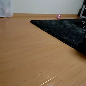 むーたん(笑)の画像