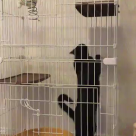 お久し振りです（＾＾；の画像