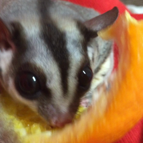 久しぶり過ぎる。の画像