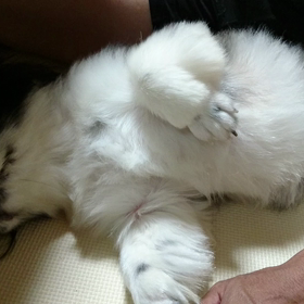 微笑ましい♪の画像