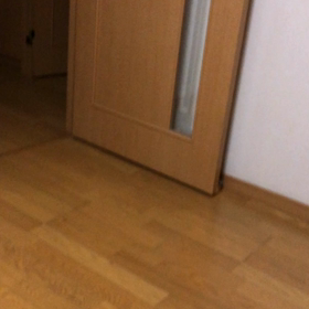 今日一日！デールはお留守番。の画像