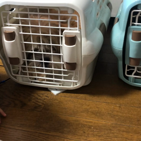 親バカ炸裂の画像