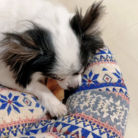 カロたん何食べてんのの画像