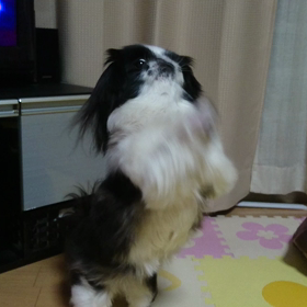 爆笑(笑)(笑)の画像