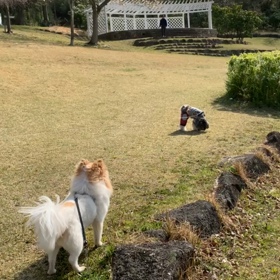 放牧中？の画像