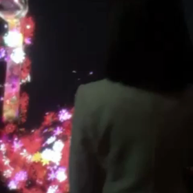 ジャングルの画像