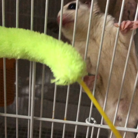 本日のお遊びの画像