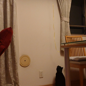 いつか飛べるといいねの画像