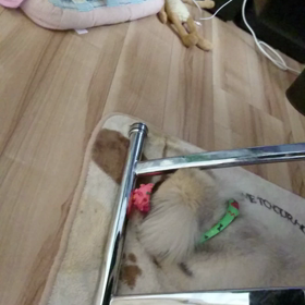 キャッチボールしようよ。の画像