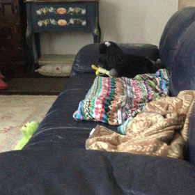 おしゃべりLilyの画像