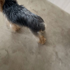 ご心配おかけしております。の画像