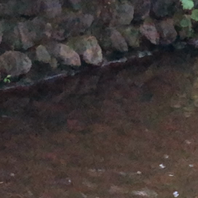 トルネード泳法／動画の画像