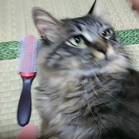 気持ちいい？の画像