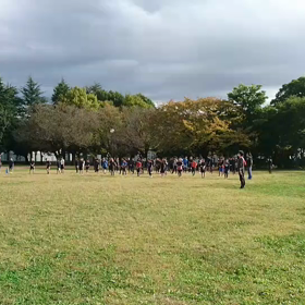 学年別インターバル(３年生)の画像