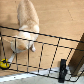 押せたよ！の画像
