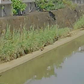 往診先で　びっくりポンの画像