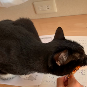 親がやるしかないですものねの画像