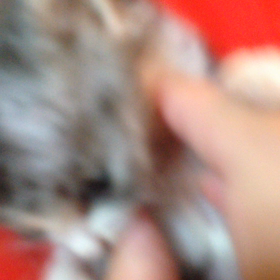 オレ、つなぐ♂の画像