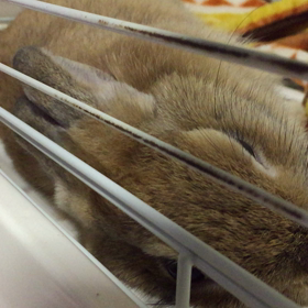 雨の休日☆の画像