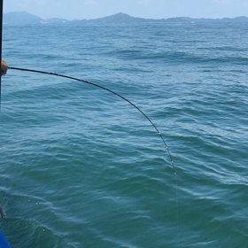 本日の動画ですの画像