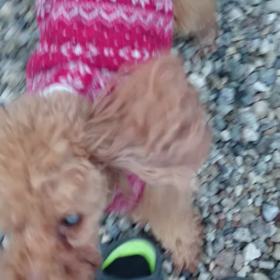 ハイなそらの画像